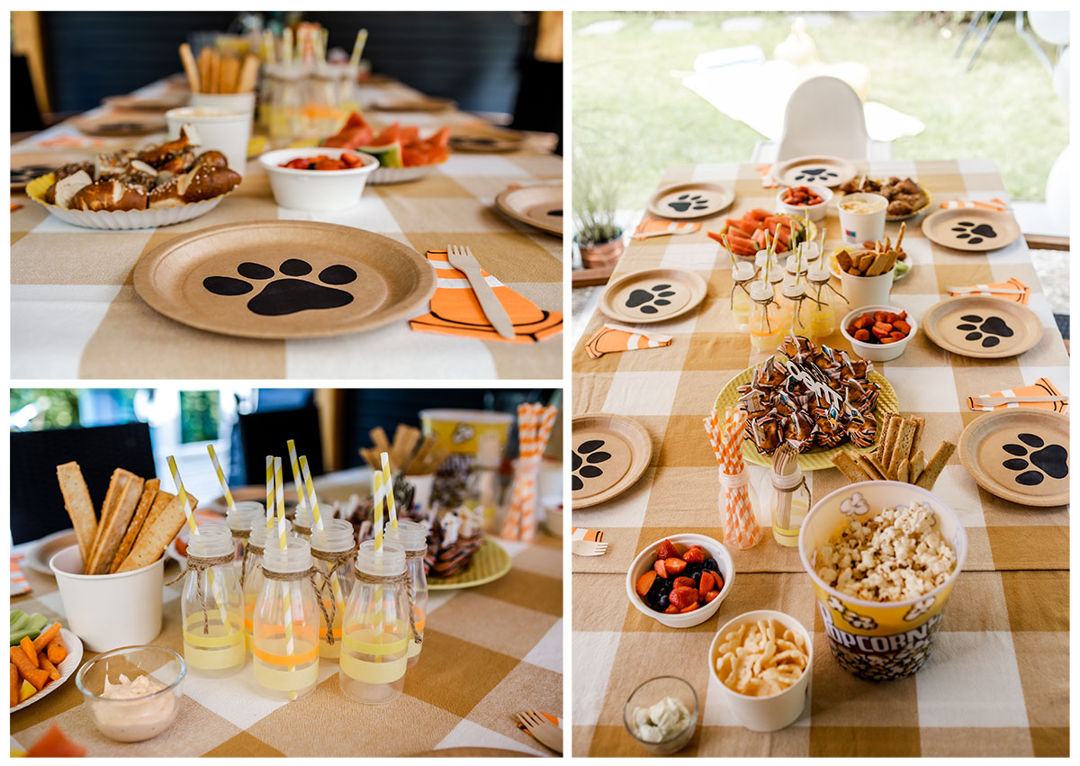 Kindergeburtstag Pappteller mit Pfote