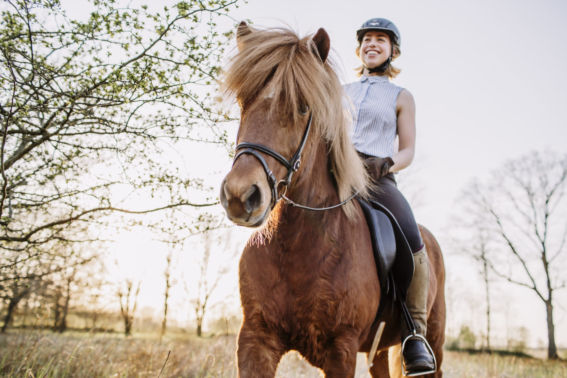 Mädchen hält die Zügel ihres Islandpferdes