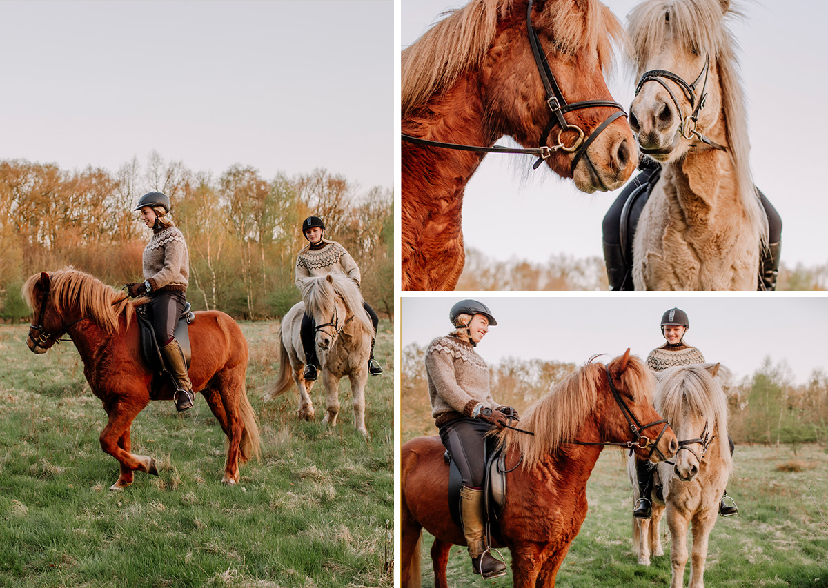Freundinnen stehen eng beisammen mit Islandpferde