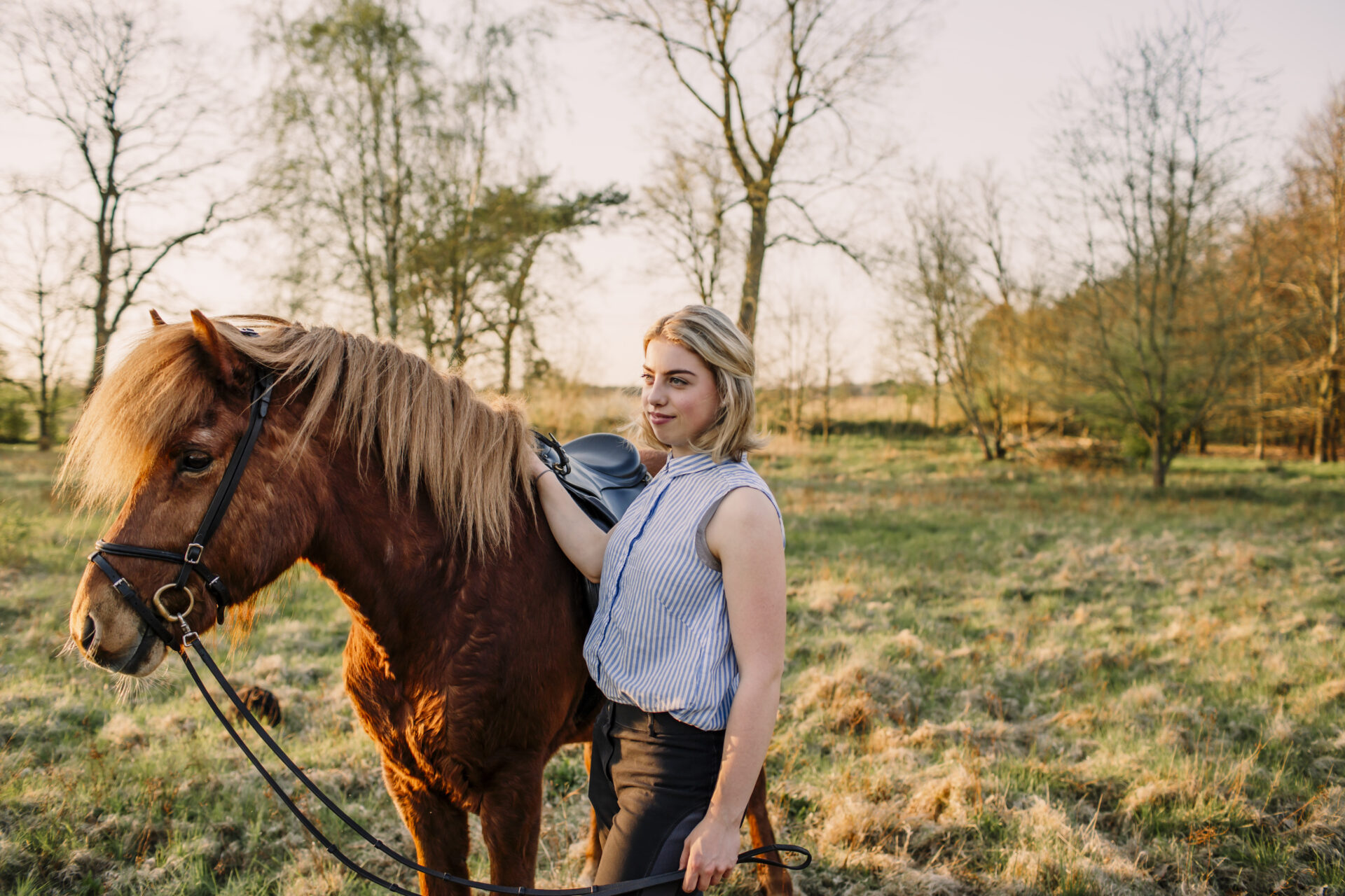Mädchen und Islandpferd im Gegenlicht der Golden Hour