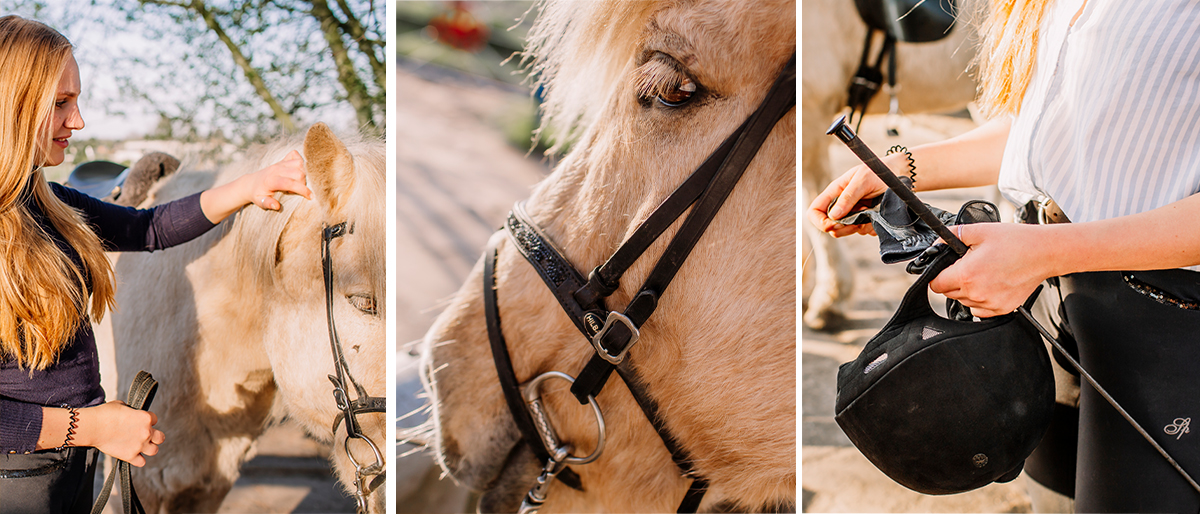 Freundinnen führen ihre Islandpferde aus dem Stall