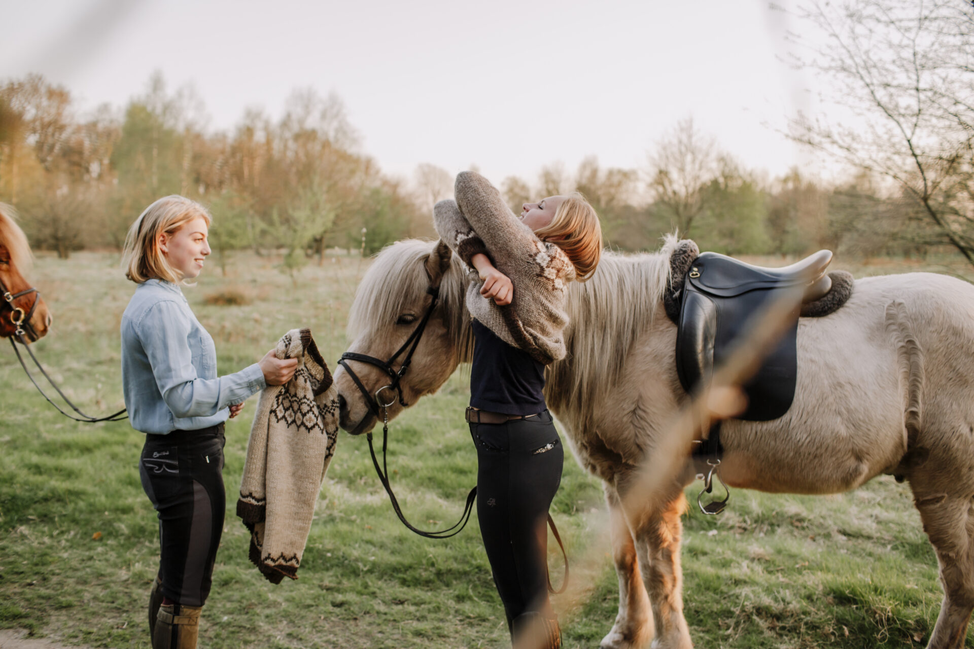 Freundinnen tragen isländische Wollpullover und streicheln