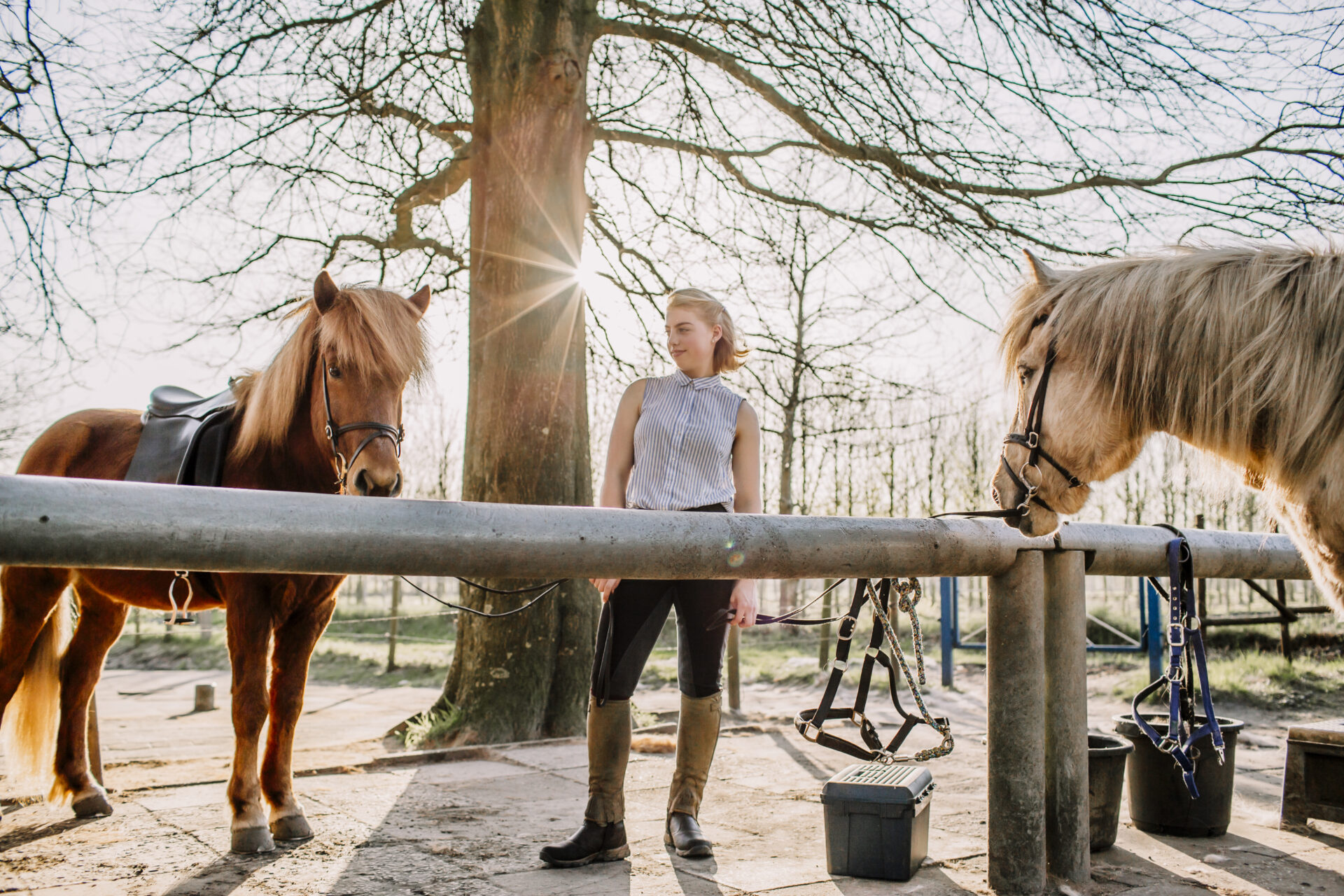 Mädchen streichelt ihr Pferd im Pferdestall, ruhiger Moment vor dem Shooting